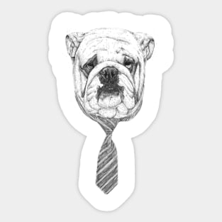 Cooldog Sticker